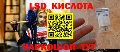 шишки Будённовск