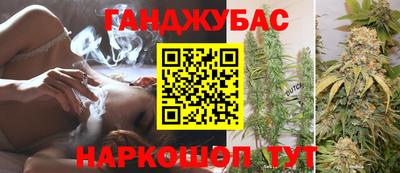 шишки Будённовск