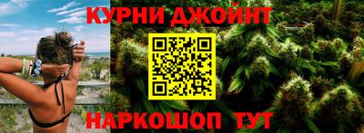 шишки Будённовск