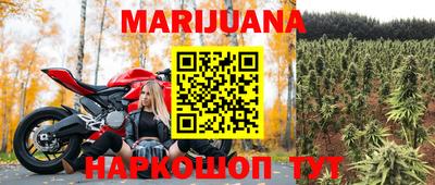 шишки Будённовск