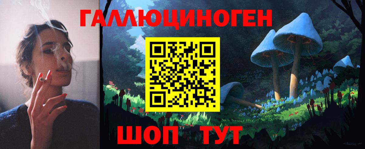 Галлюциногенные грибы Cubensis Севастополь